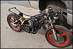 1979 TZ250 f for sale Boston-dsc02300-jpg