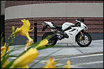 One-of-a-Kind Collectable Daytona 675-daytona-1-jpg