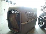 XL DOG Portable CRATE-2012-06-24-11-17-a