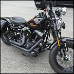 2008 Harley Crossbones Softail-12231405_10203612285947567_1651610782_n-jpg