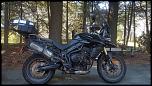 Triumph Tiger 800 ABS-12963764_10209326746196449_9058299118858292786_n-jpg