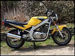 1999 Suzuki GS 500 E-dscn7587-jpg