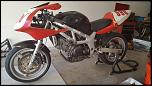 2001 SV650 Race Bike-bike1-jpg