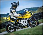 2015 Yamaha R3 Race Bike-track-wave-jpg