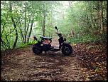 Feeler- 2013 Honda Ruckus 50-ruck-jpg