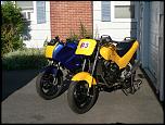 Pair of 2006 Ninja 250 Track bikes-p1070155-jpg
