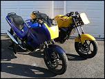 Pair of 2006 Ninja 250 Track bikes-p1070157-jpg