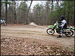 Pulaski/Washington State Forest RI-roost-2-jpg