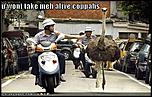 Coppah's baaack....-funny-pictures-ostrich-police-chase