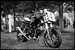Ducati Scrambler-image-jpg