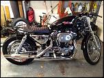 2002 HD Sportster Cafe build-img_20191102_173003082-jpg