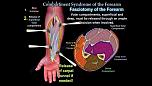 2021 MotoGP Discussion (Spoilers)-compartment-syndrome-forearm-1-jpg