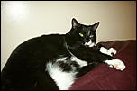 RIP Roxy-dcp_2486-jpg