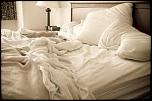 What's the absolute BEST FRIGGIN THING you've seen all day?-comfy-bed-jpeg