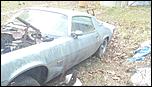 1981 Camaro 4spd project-camaro2-jpg