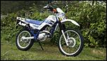 2005 EX500 track only-311700_1508319363406_1697001348_812736_7732774_n-jpg