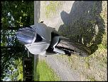 2017 ZX6r Track Bike-a643914c-2fe5-4830-99d2-67d41cf49bf2
