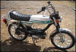 Scooter fans...?-013-jpg