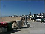 Hampton Beach Area-seashell-complex-jpg