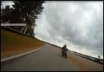 Last lap T10 squirrel-loudon-needles-jpg