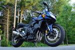 FZ6inNH's Avatar