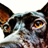 beccf4i's Avatar